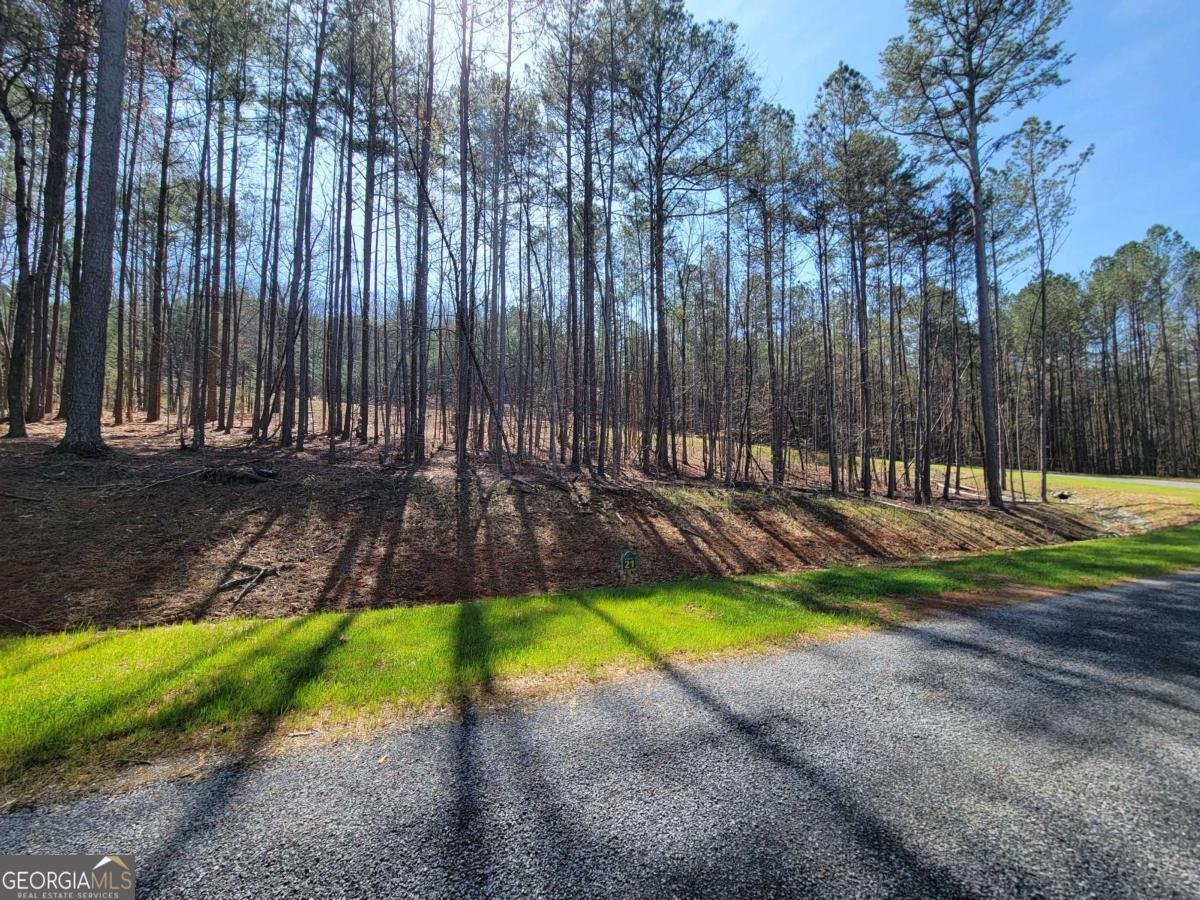 277 Mountaingate Way Ellijay - 10
