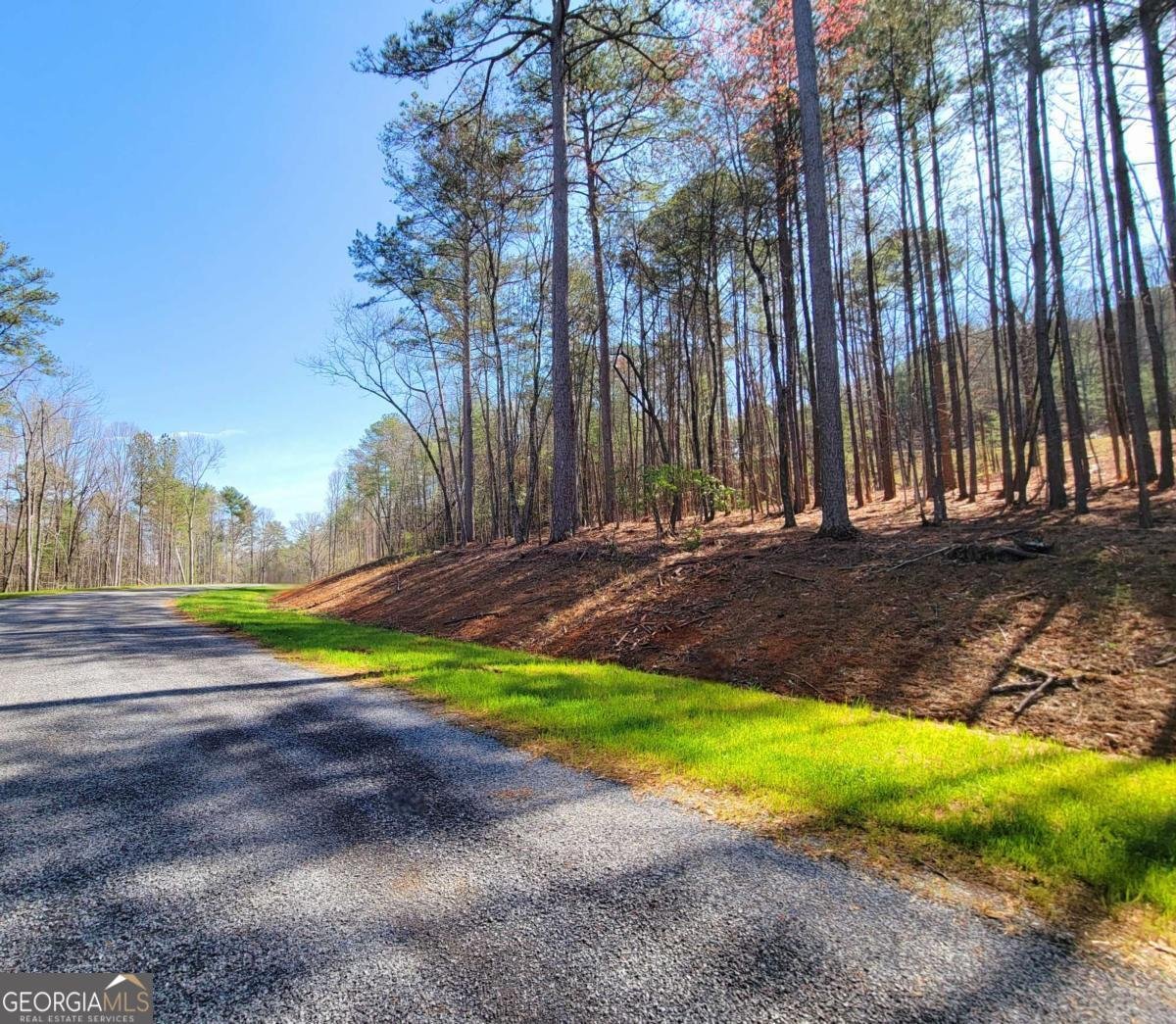 277 Mountaingate Way Ellijay - 14