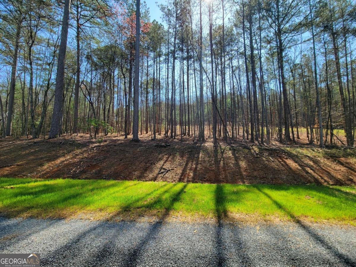 277 Mountaingate Way Ellijay - 15