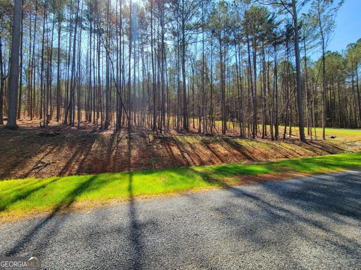 277 Mountaingate Way Ellijay - 21