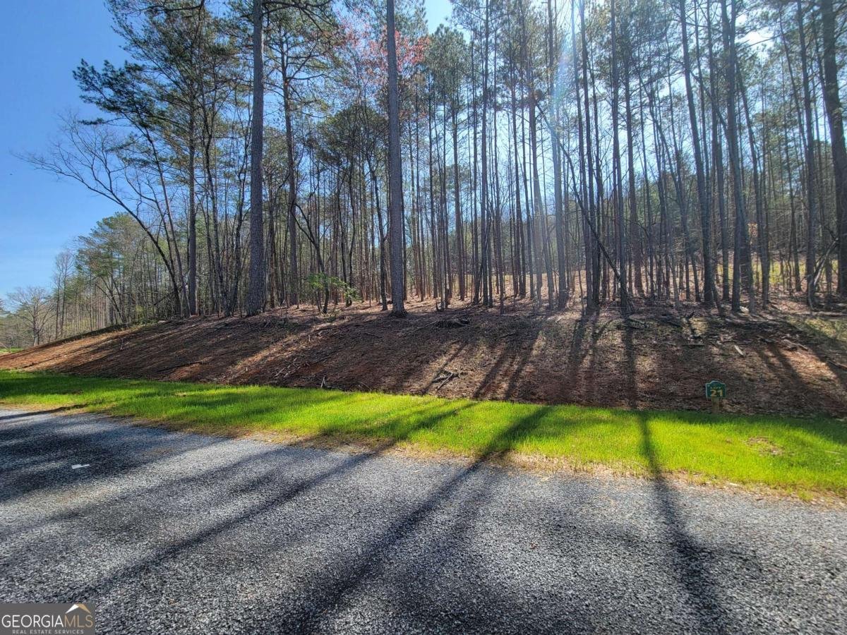 277 Mountaingate Way Ellijay - 23