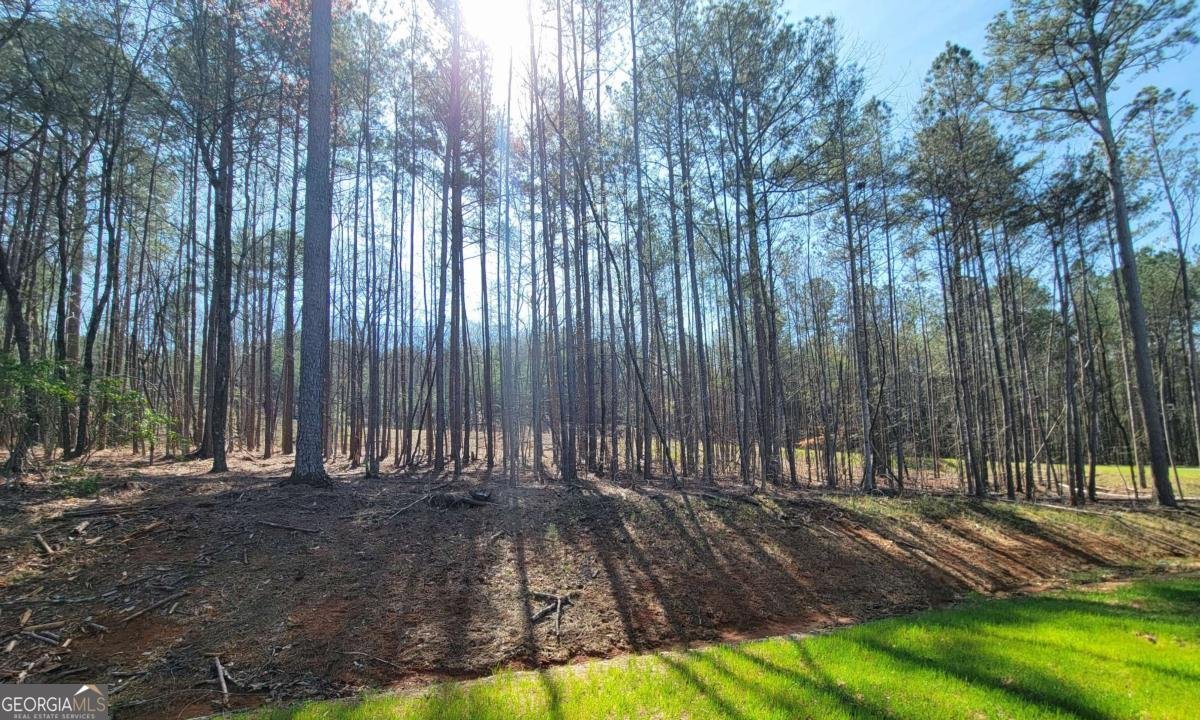 277 Mountaingate Way Ellijay - 24