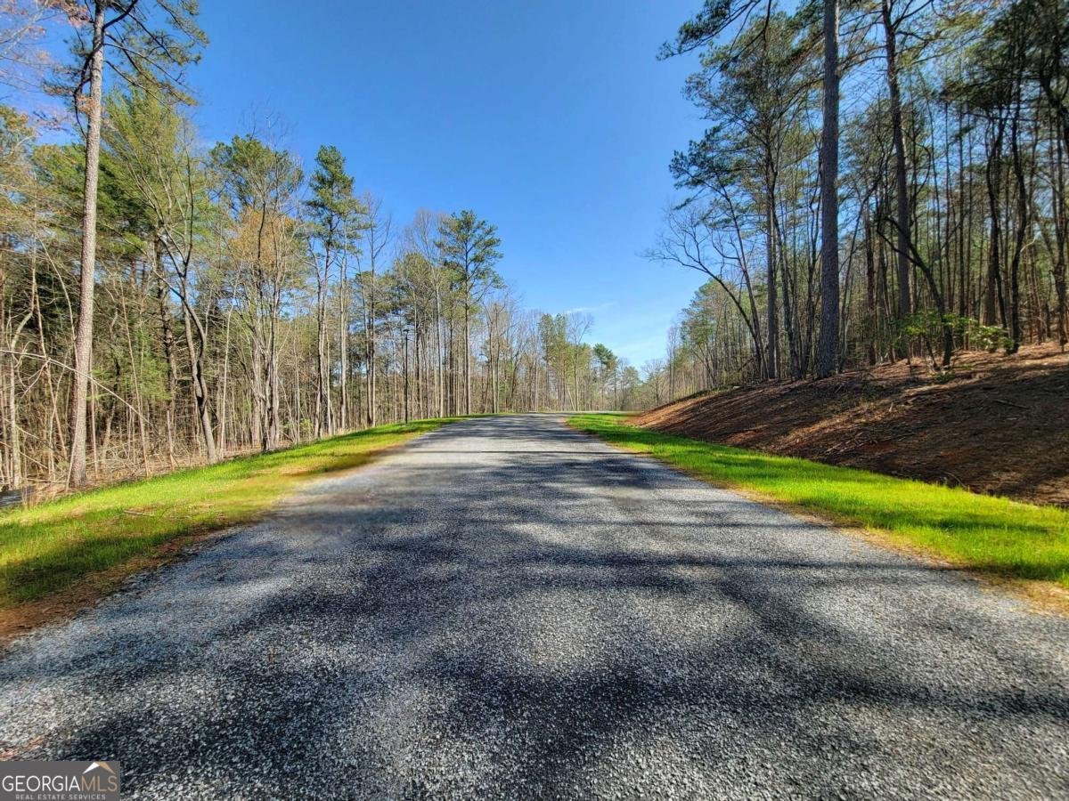 277 Mountaingate Way Ellijay - 26