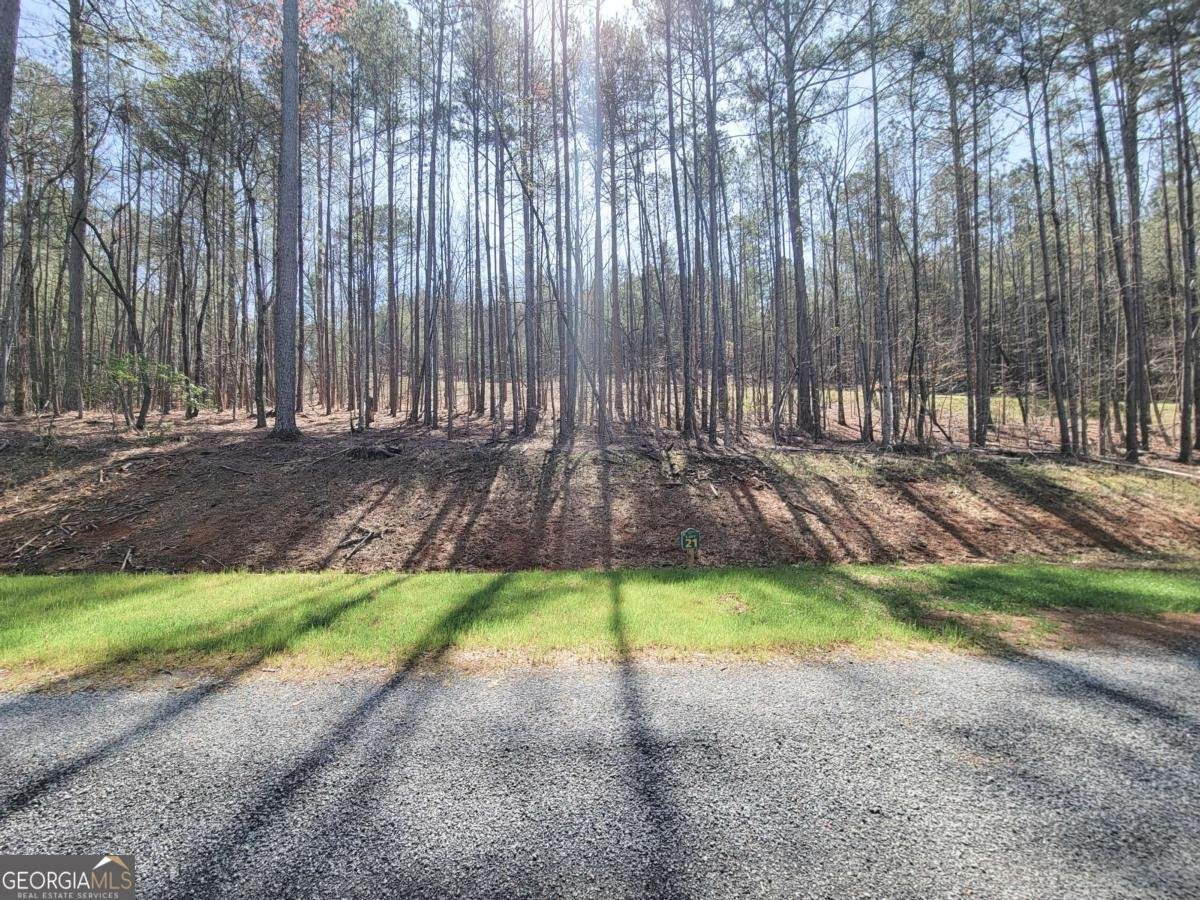 277 Mountaingate Way Ellijay - 8