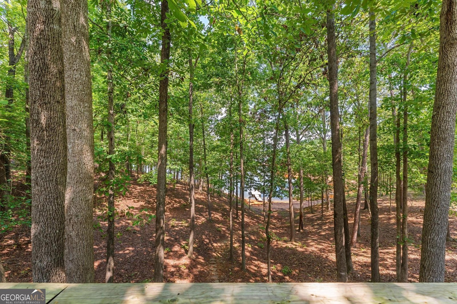 2209 Ridge Road Hartwell - 25