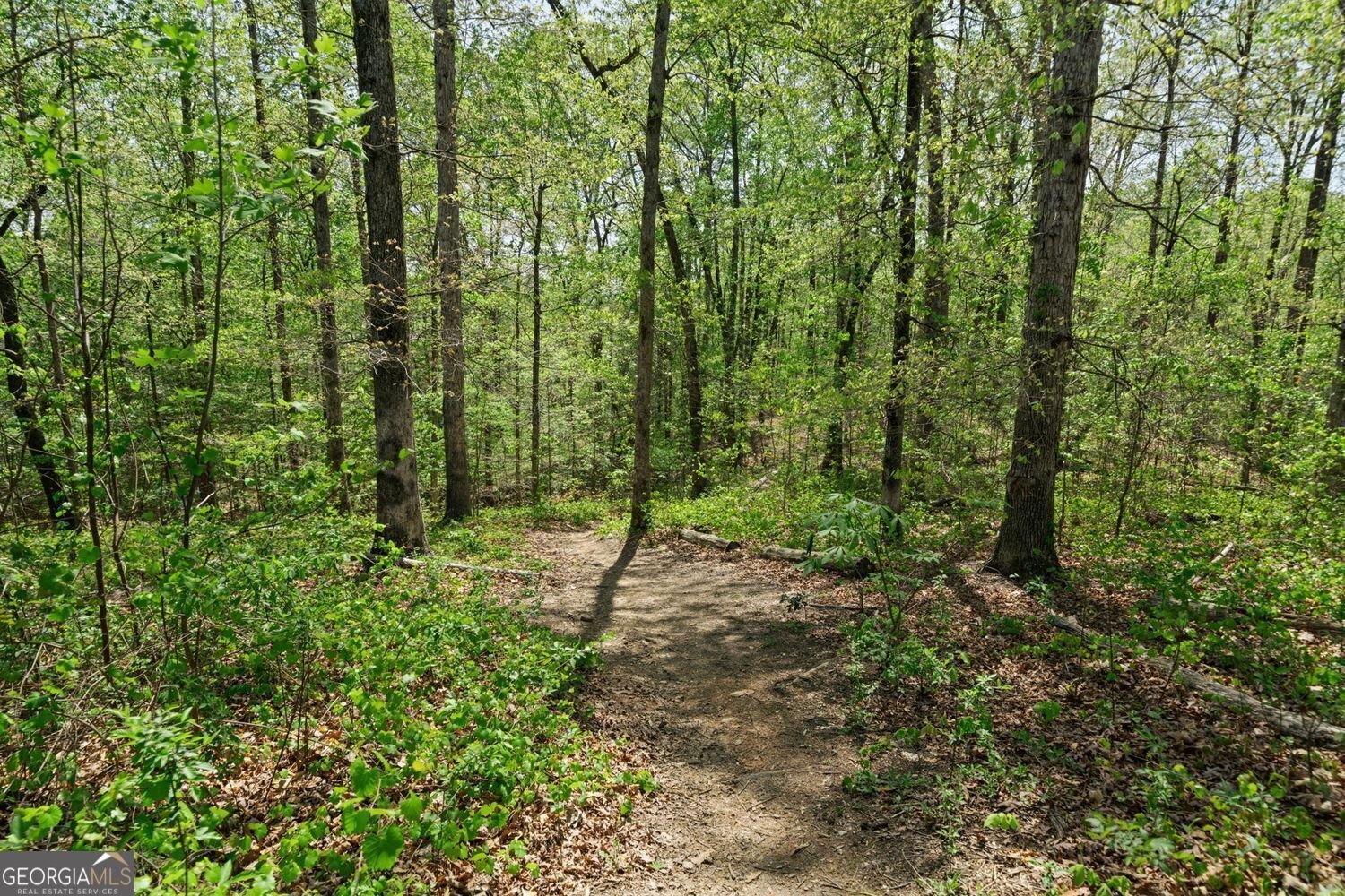 126 Abbington River Lane Atlanta - 59