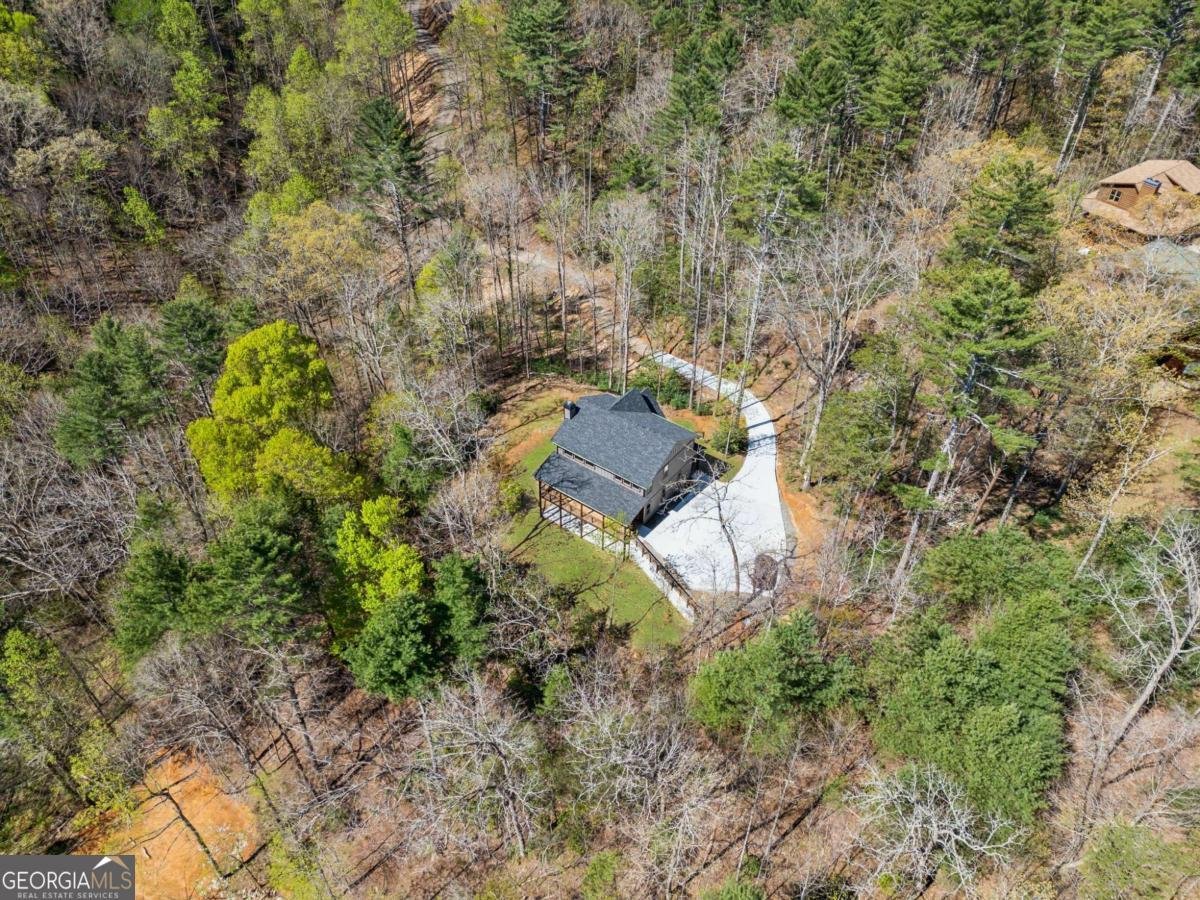 78 Pocola Court Ellijay - 10