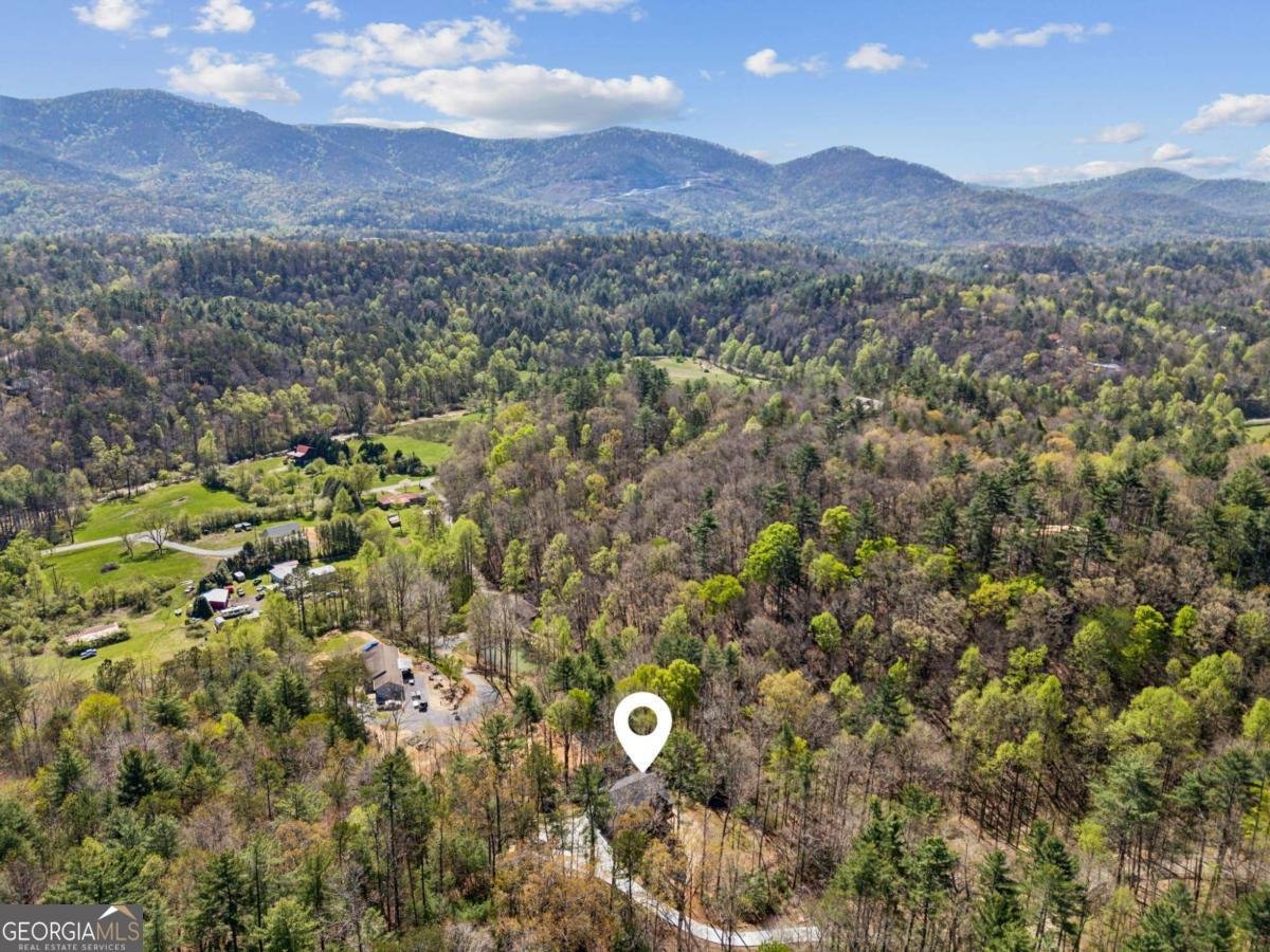 78 Pocola Court Ellijay - 2