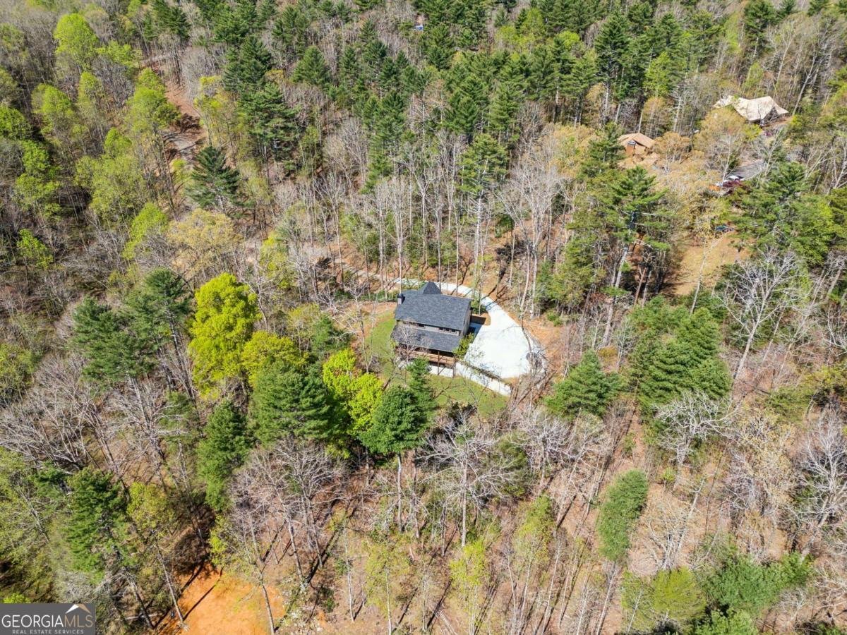 78 Pocola Court Ellijay - 40
