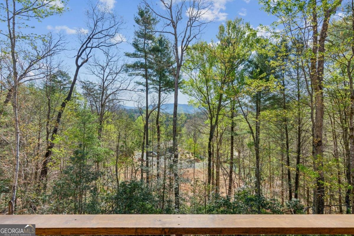 78 Pocola Court Ellijay - 41