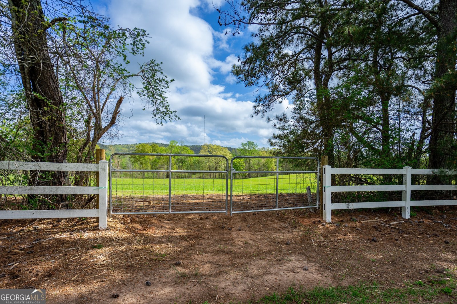 2763 Trammell Mill Road Shiloh - 37