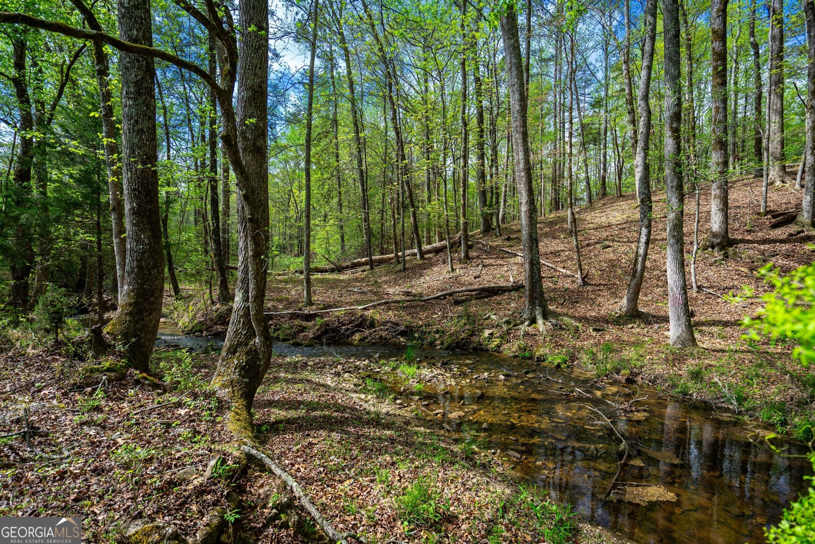 2763 Trammell Mill Road Shiloh - 43