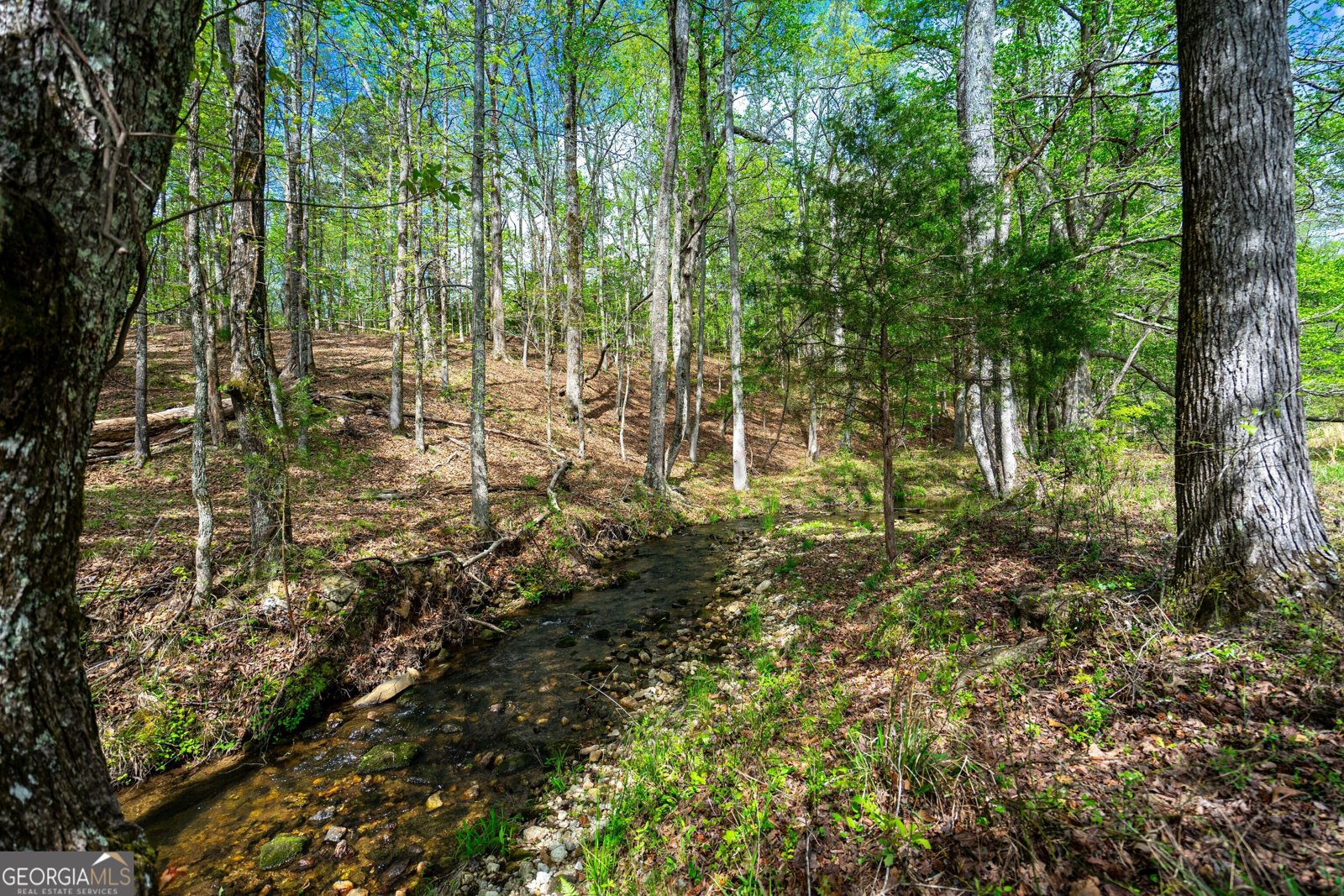 2763 Trammell Mill Road Shiloh - 44