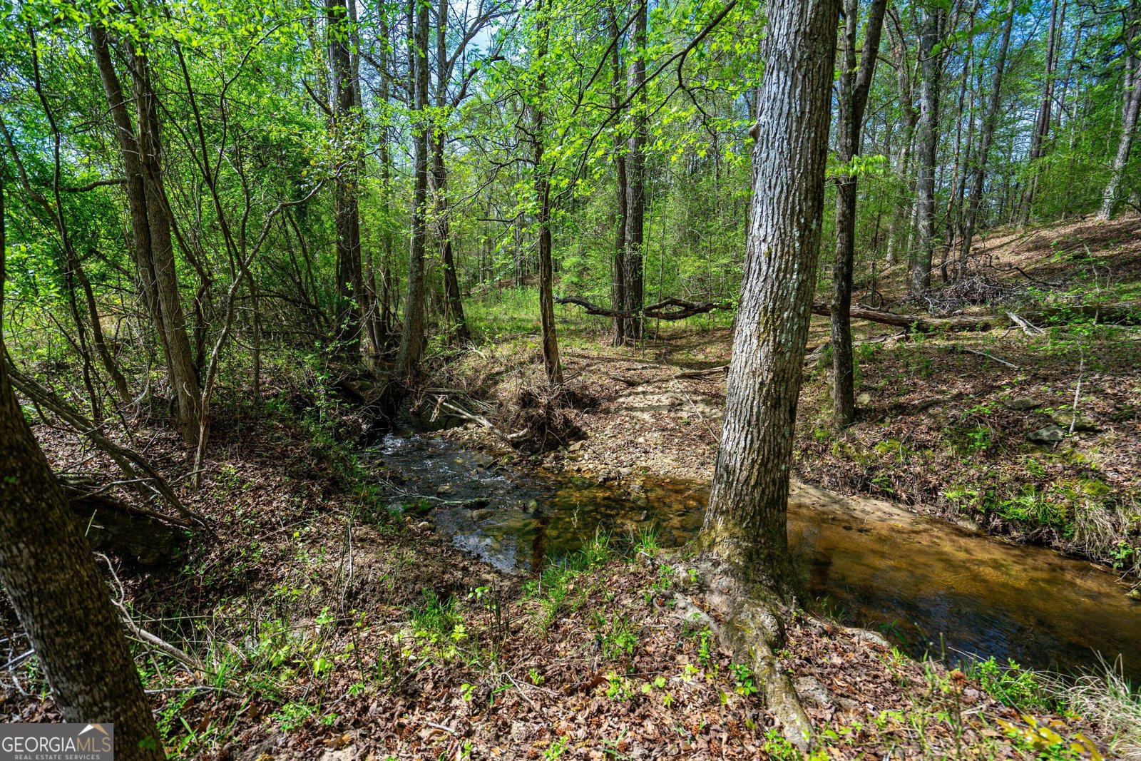 2763 Trammell Mill Road Shiloh - 45