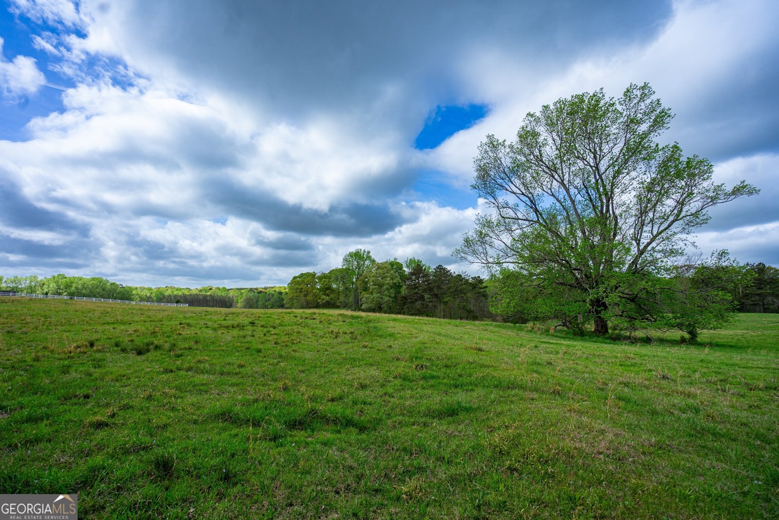 2763 Trammell Mill Road Shiloh - 54