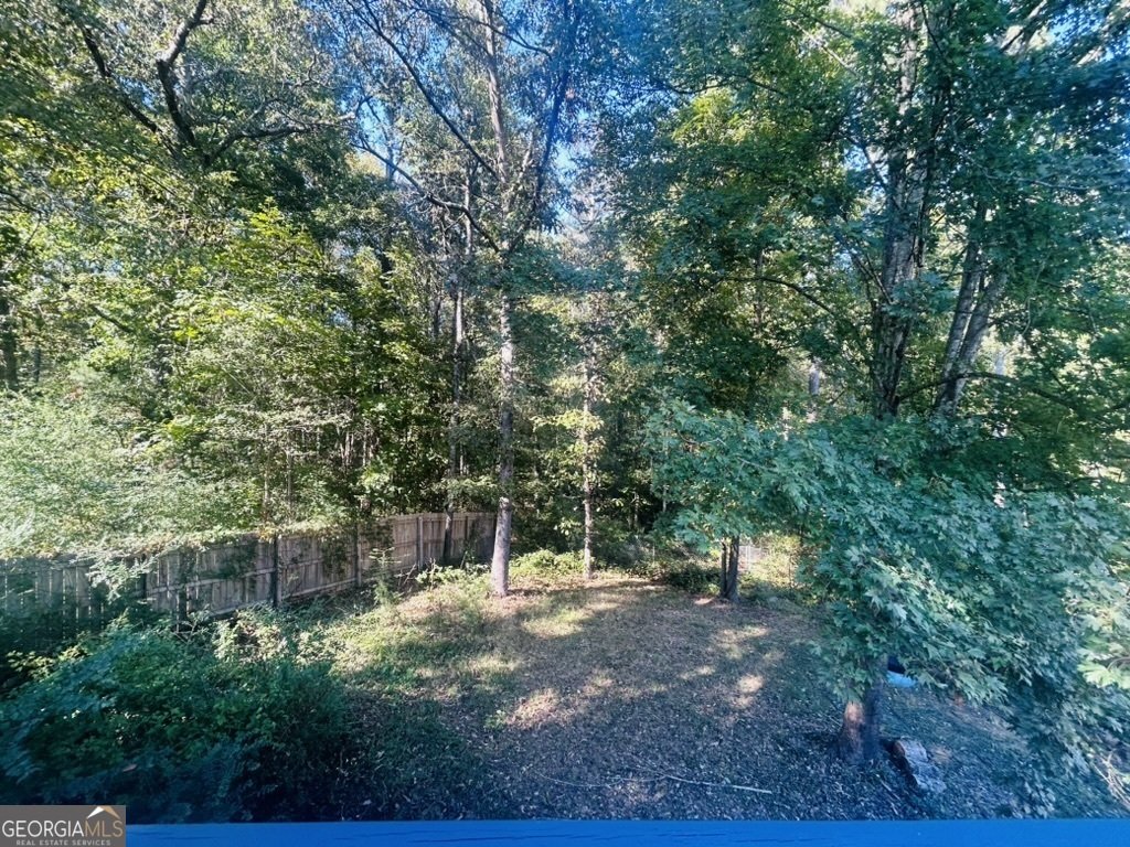 102 Collins Way Douglasville - 13