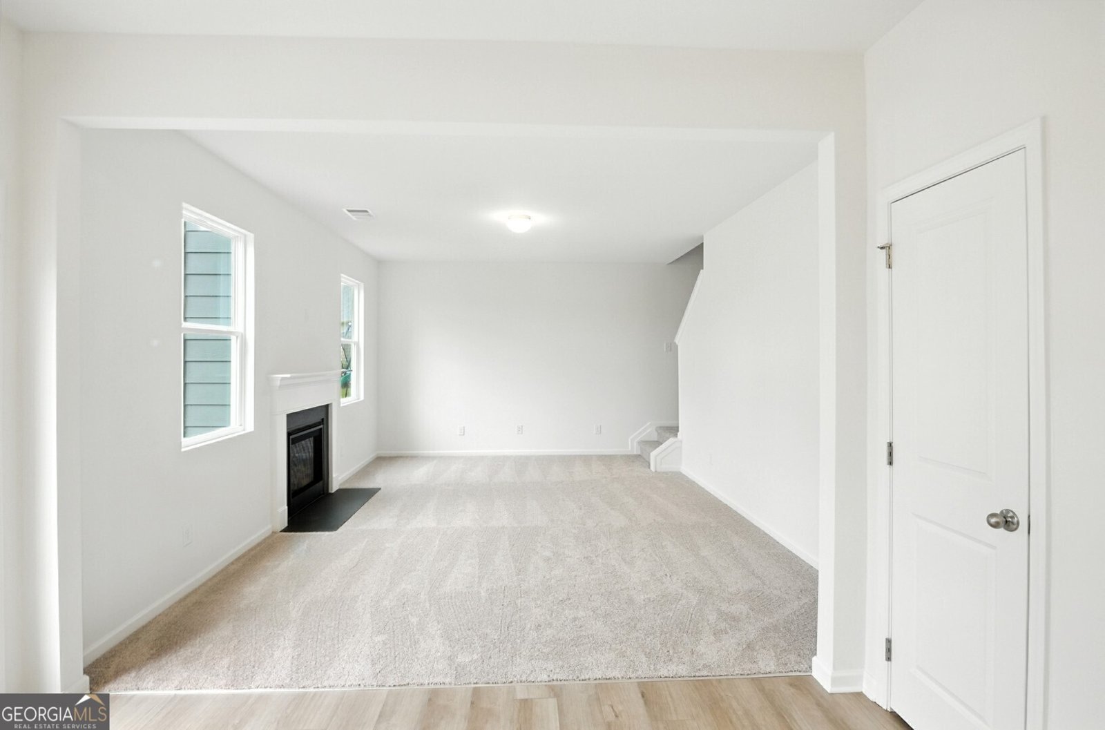 233 Bloomfield Circle Canton - 12