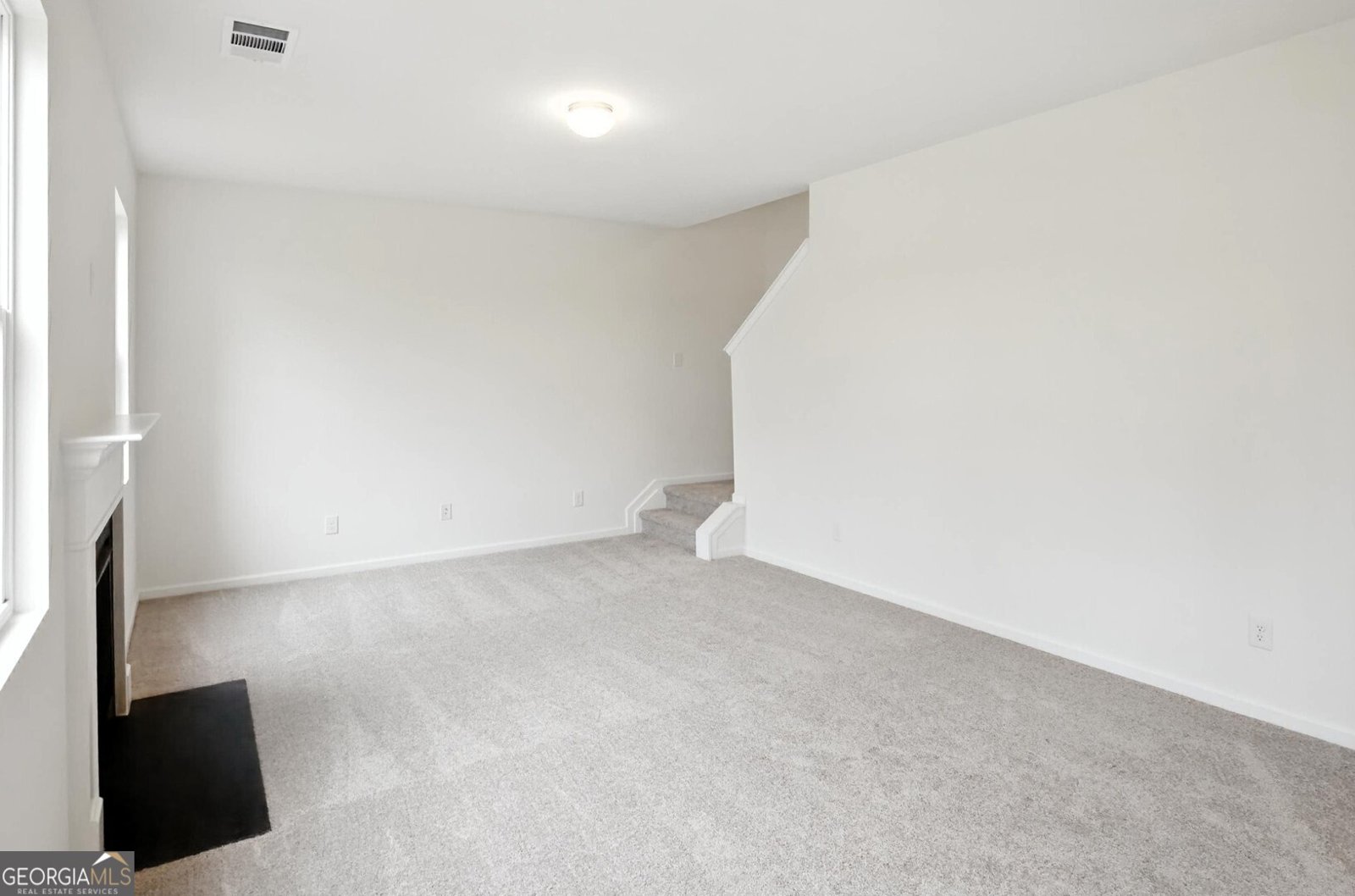 233 Bloomfield Circle Canton - 13