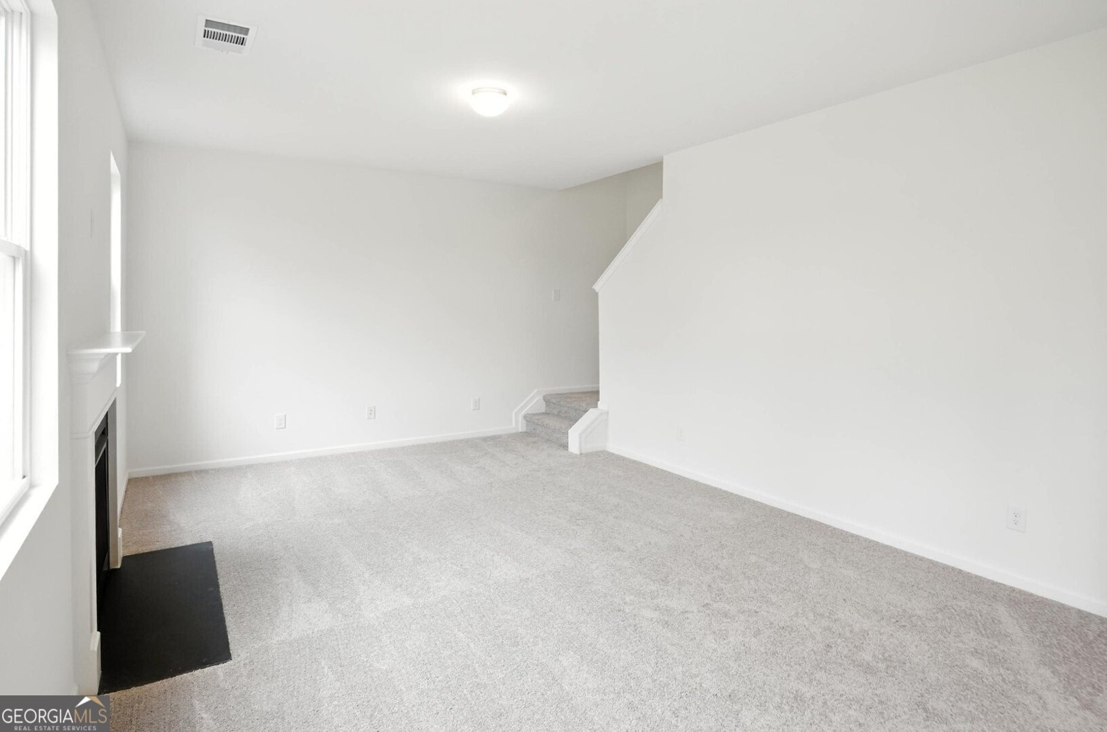 233 Bloomfield Circle Canton - 15