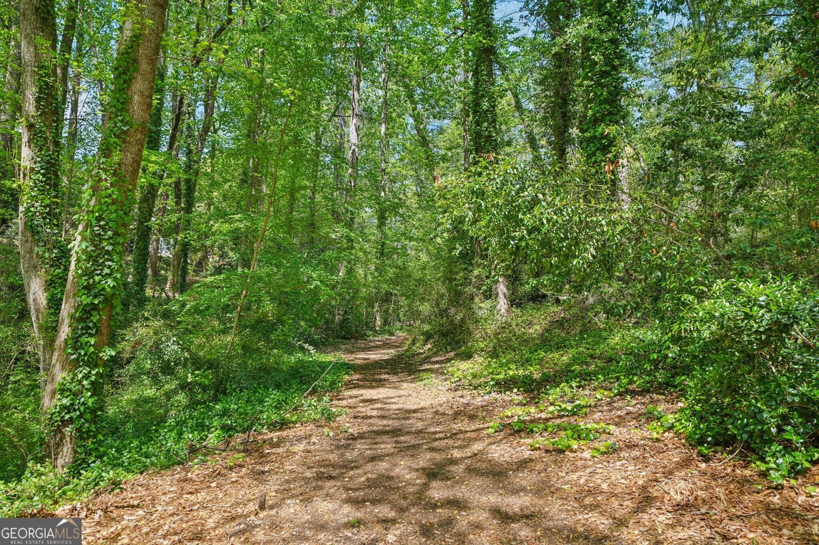 171 Riverview Trail Roswell - 16