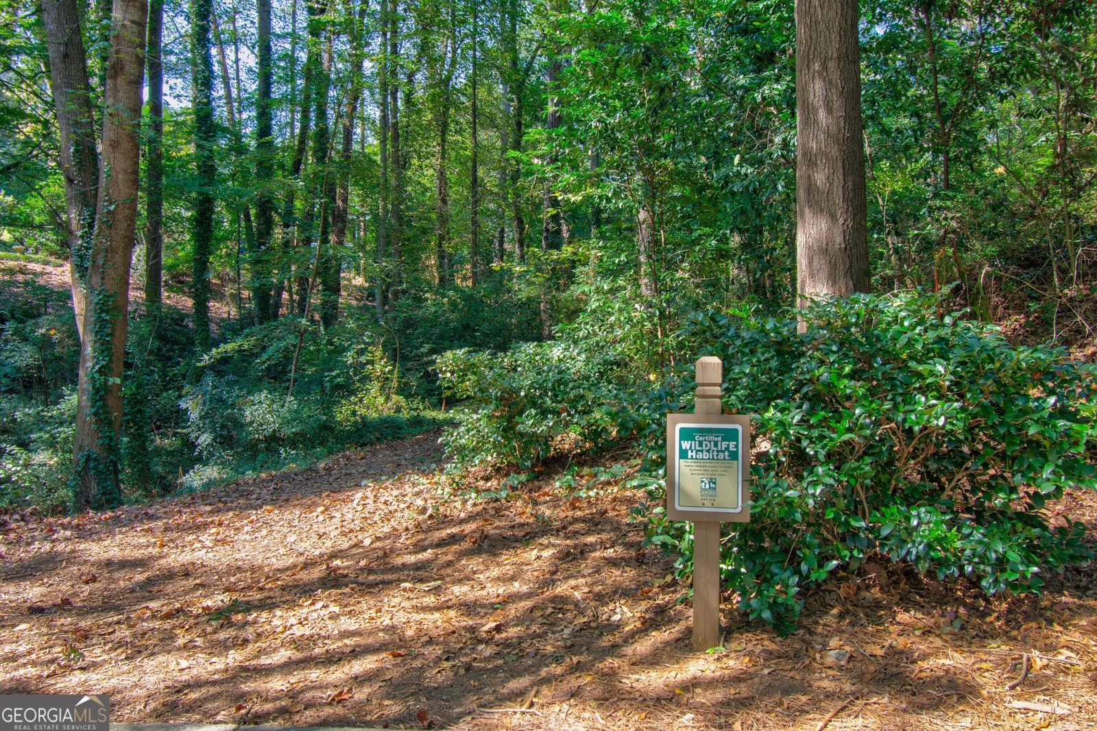 171 Riverview Trail Roswell - 6