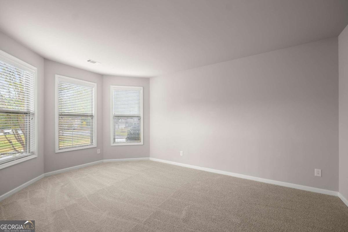 6820 Lacebark Drive Dawsonville - 3