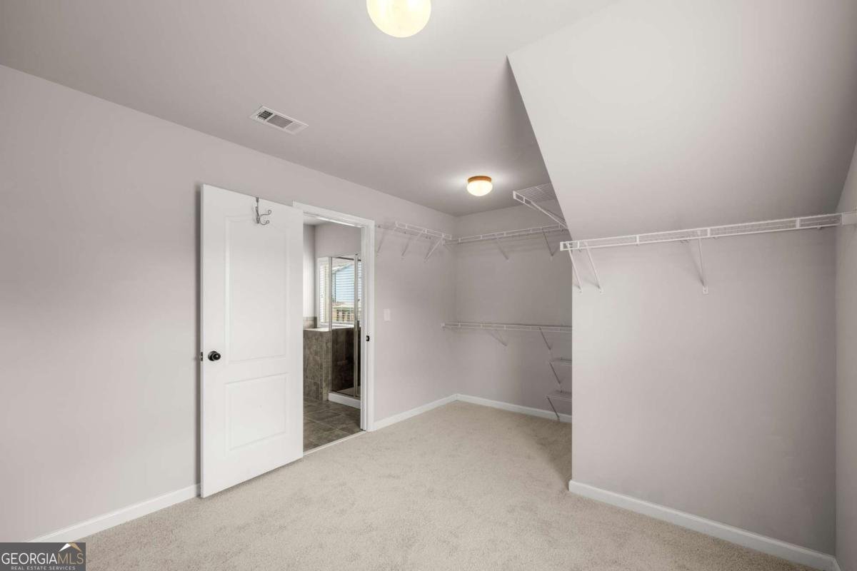 6820 Lacebark Drive Dawsonville - 31