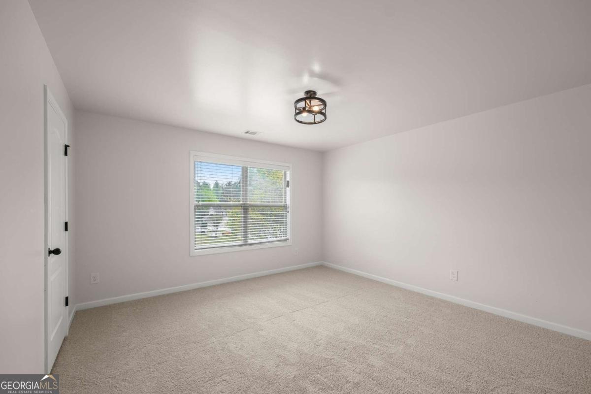 6820 Lacebark Drive Dawsonville - 42