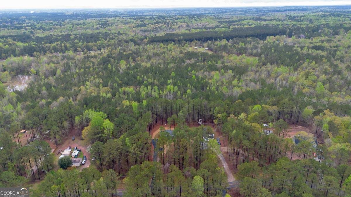 161 Crooked Creek Bay Road Eatonton - 38