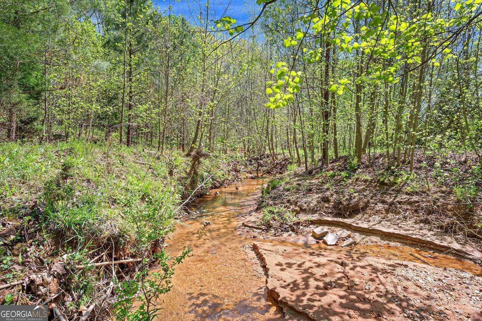 900 Oakhill Road Elberton - 45