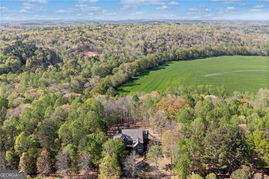411 River Bluff Lane Ball Ground - 58