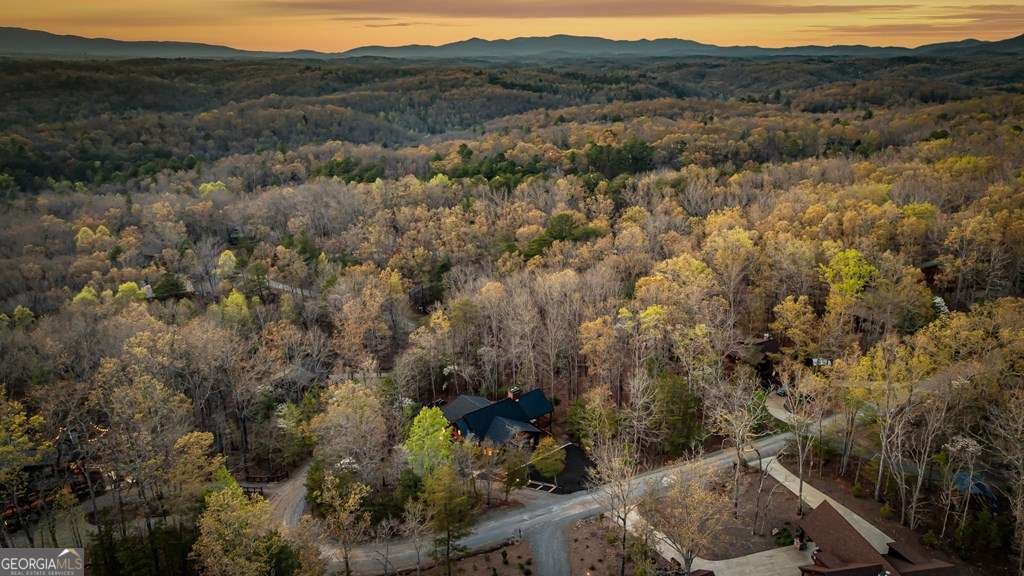 346 Logan Drive Mineral Bluff - 12