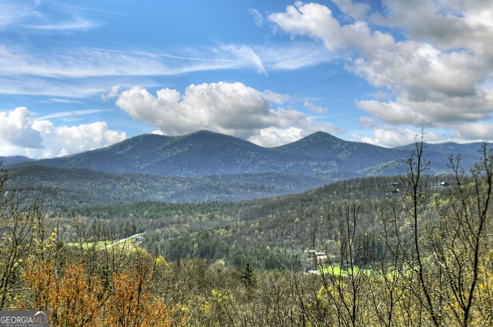 417 Bill Claypool Drive Blue Ridge - 52