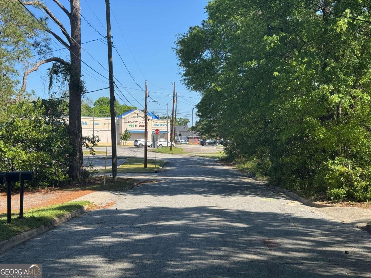 1727 Eveline Avenue Macon - 24