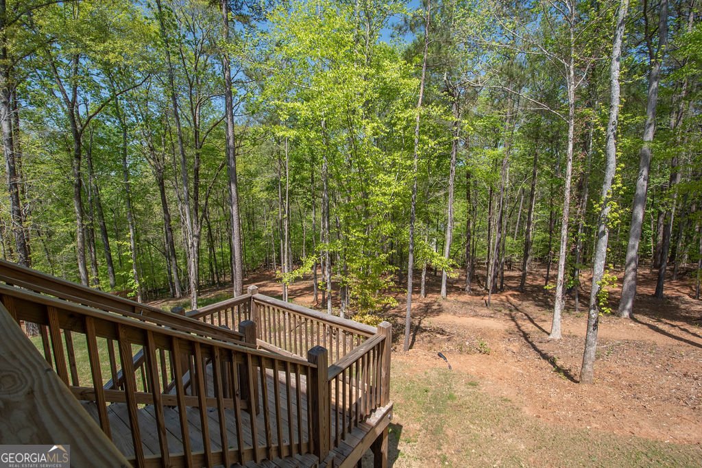 115 Wind Court Tyrone - 57