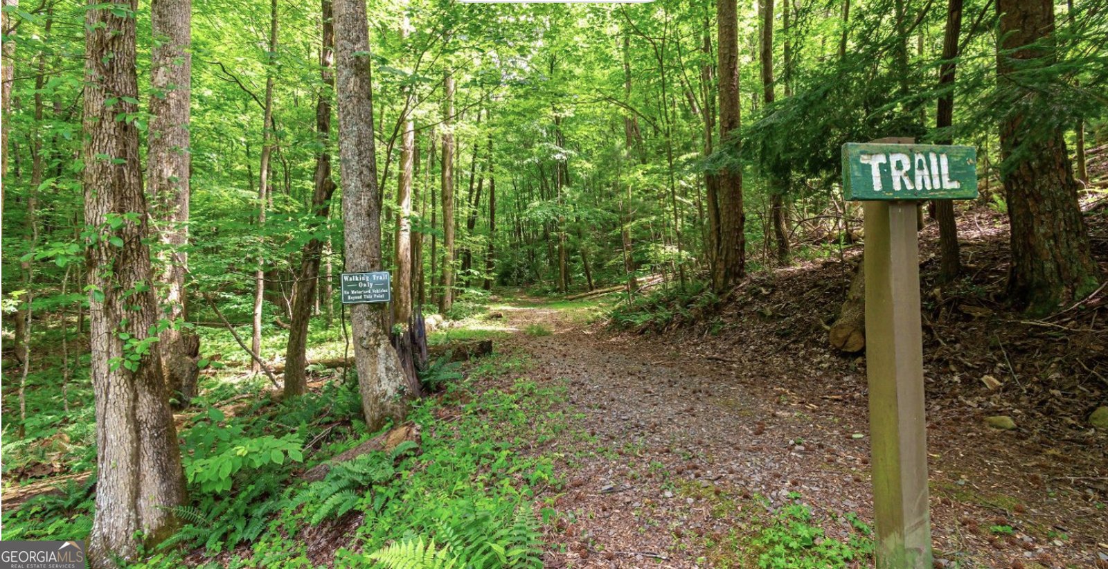58 Ridgehaven Lane Ellijay - 29