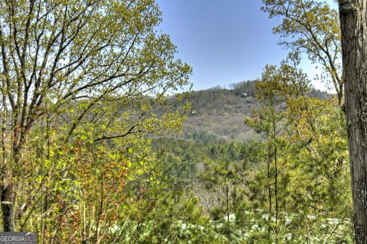 170 Humphrey Heights Road Mineral Bluff - 19