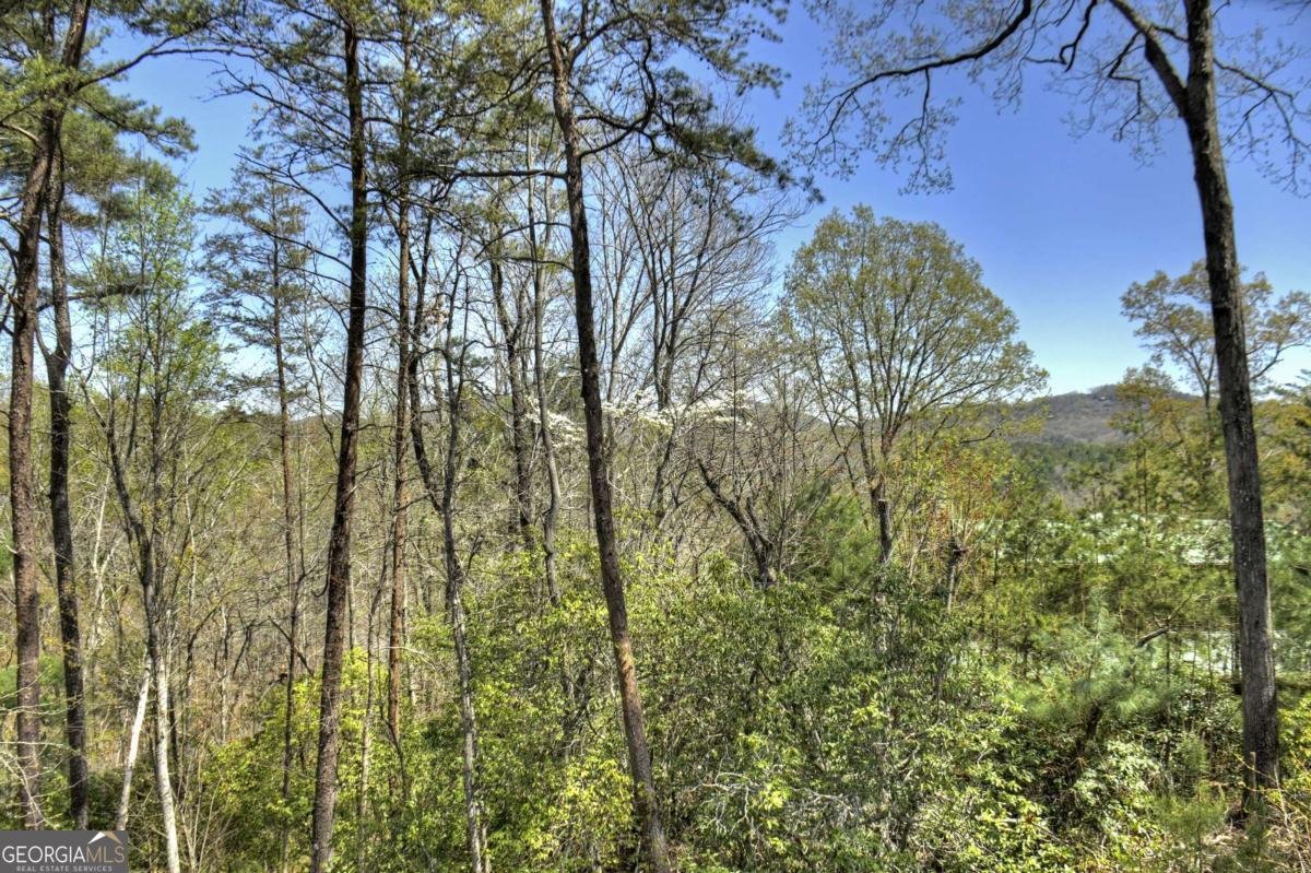 170 Humphrey Heights Road Mineral Bluff - 20