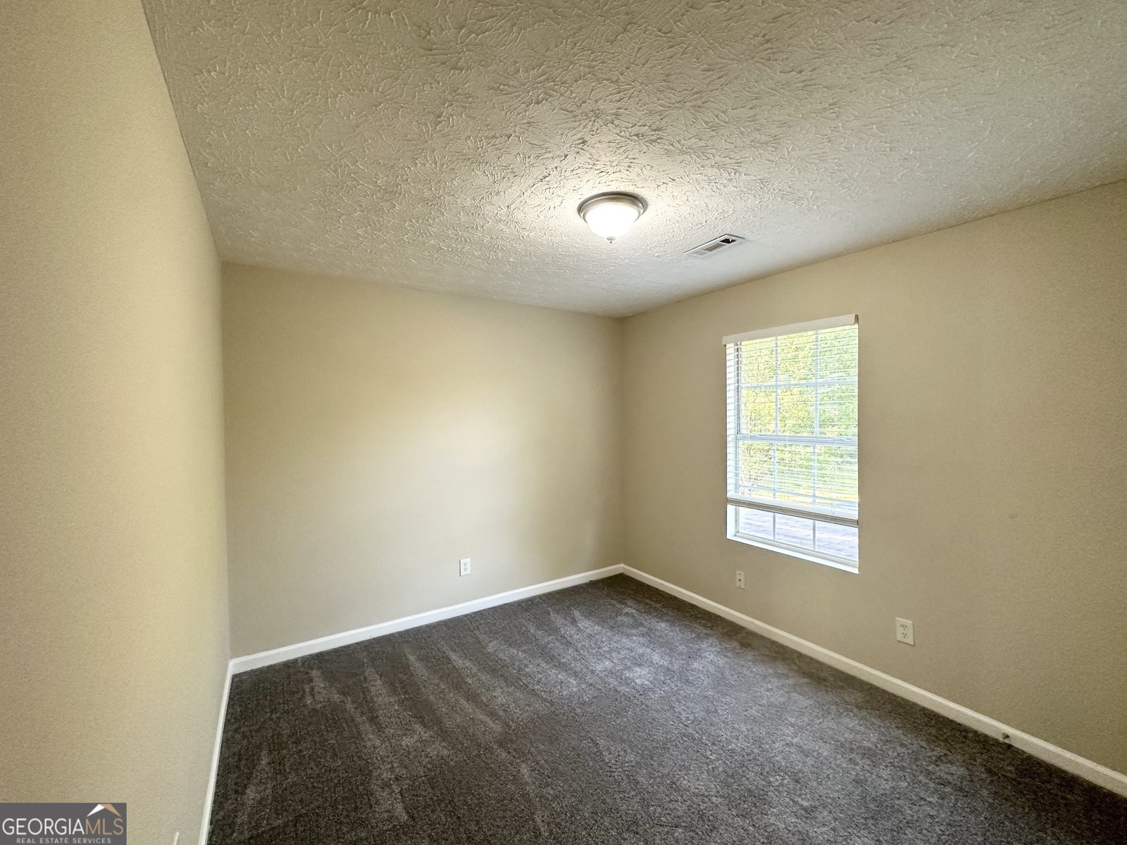 825 Rapid Court McDonough - 9
