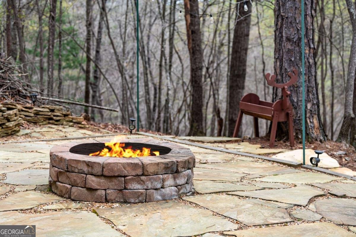 2487 Newport Drive Ellijay - 47