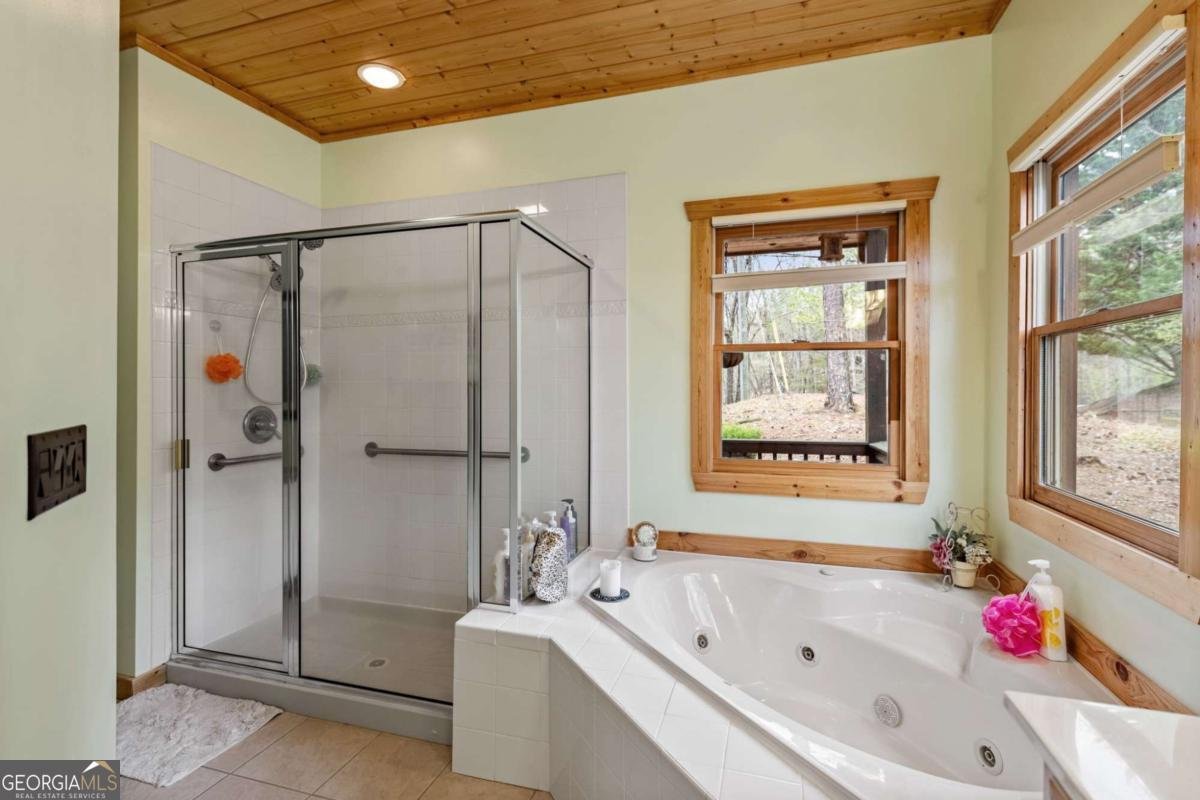 2487 Newport Drive Ellijay - 7