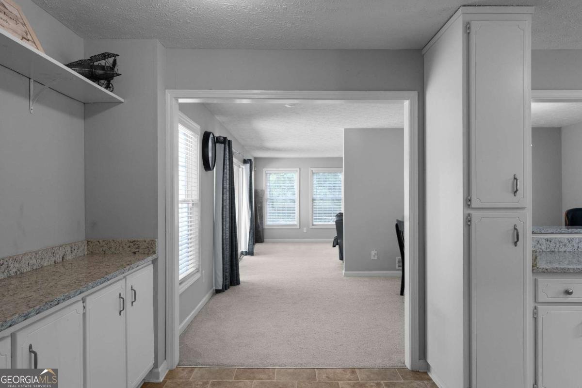 8876 Ashwood Drive Riverdale - 25