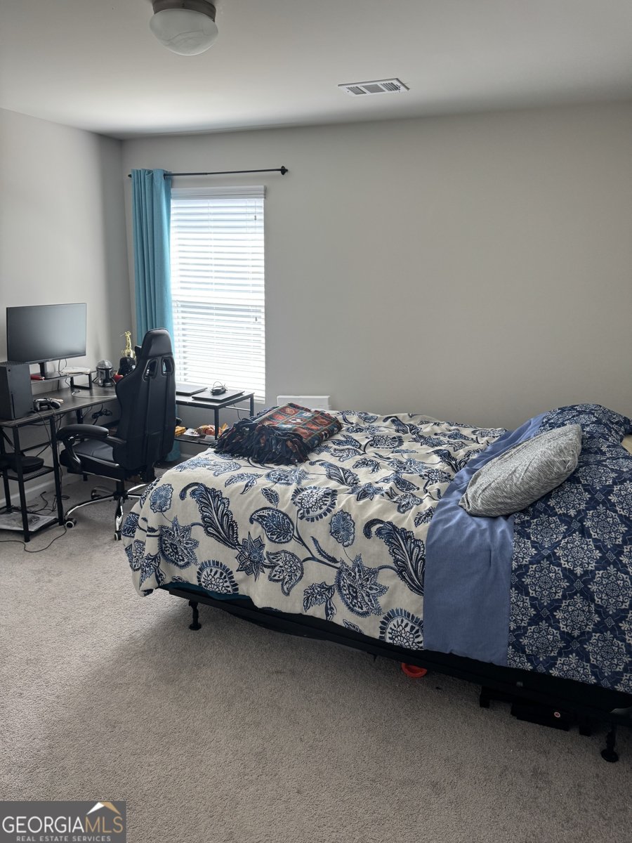 141 Macalester Drive Newnan - 20