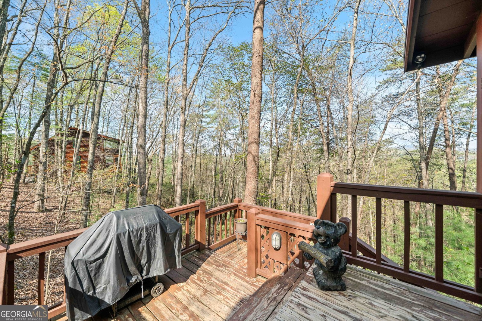 301 Laurel Creek Road Blue Ridge - 20