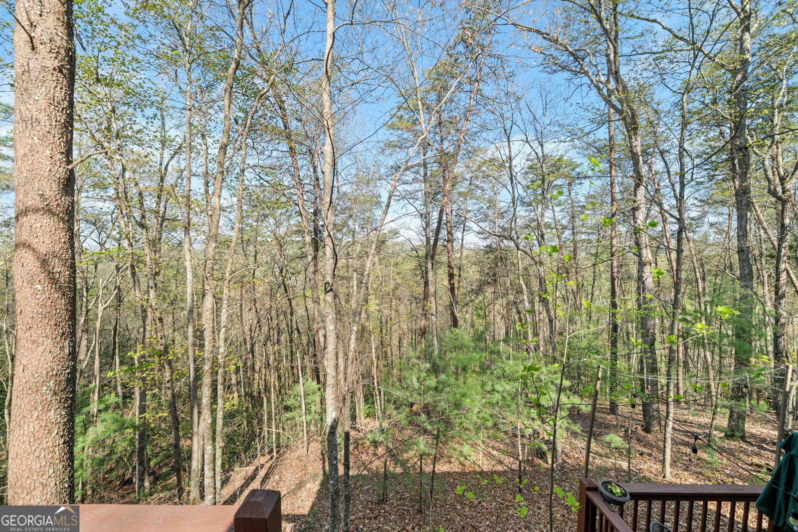 301 Laurel Creek Road Blue Ridge - 21