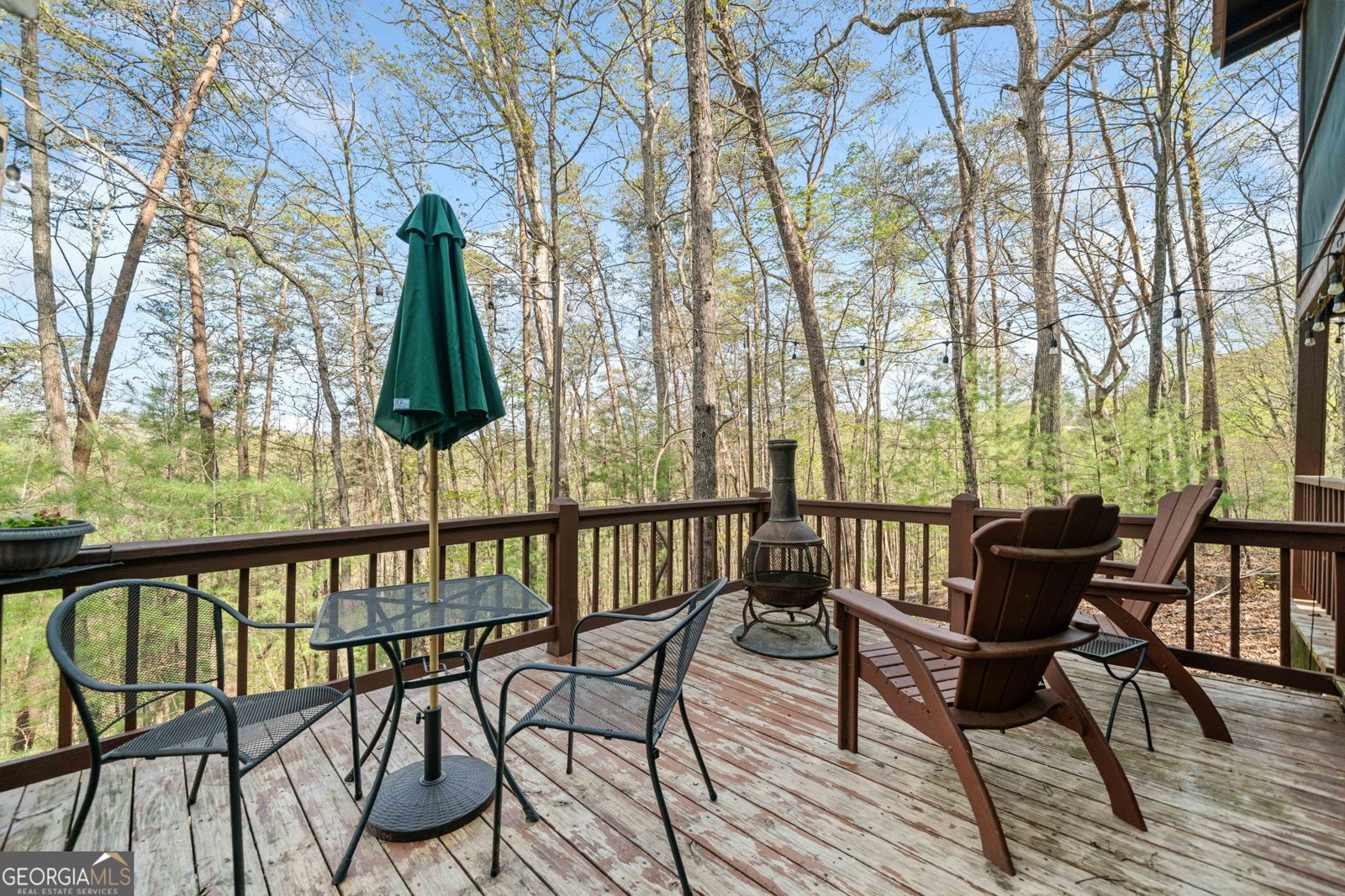 301 Laurel Creek Road Blue Ridge - 22