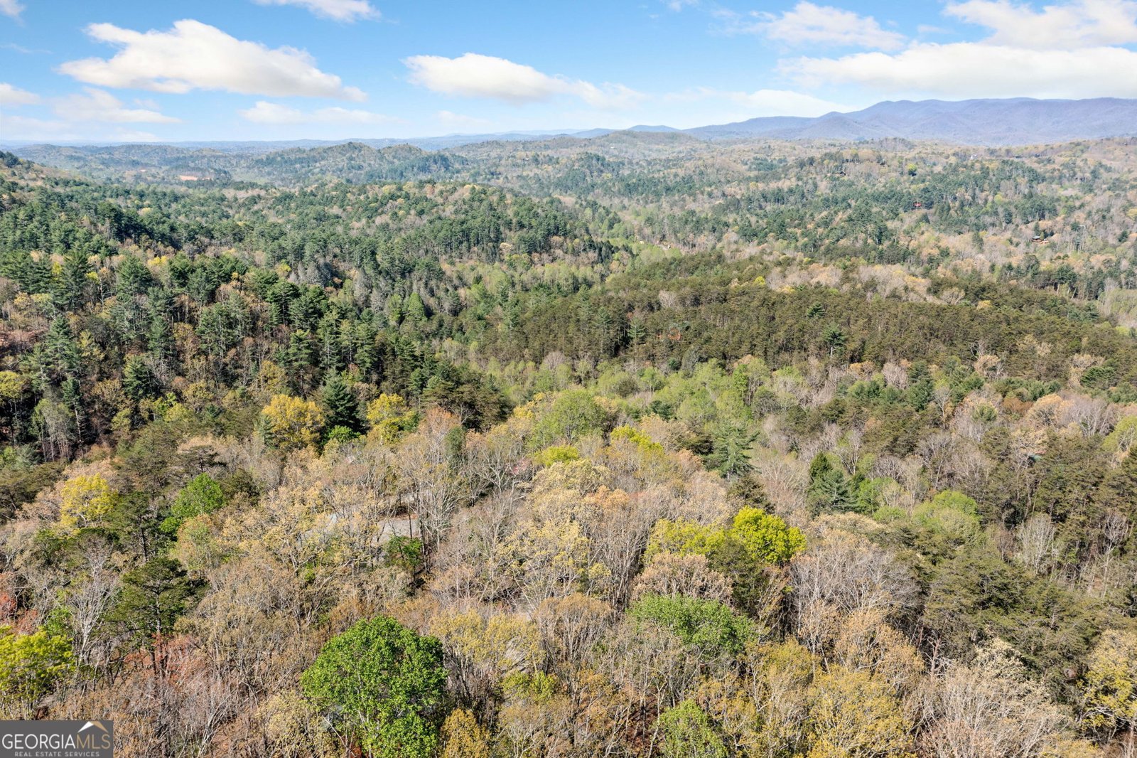 301 Laurel Creek Road Blue Ridge - 30