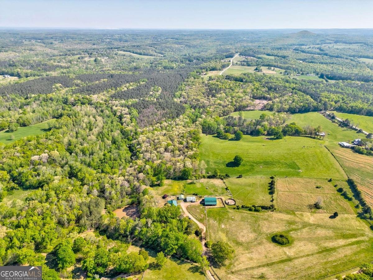 1288 Reavesville Road Bowdon - 10