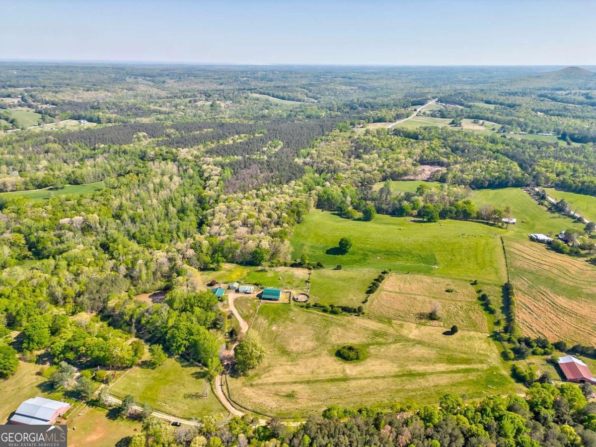 1288 Reavesville Road Bowdon - 11