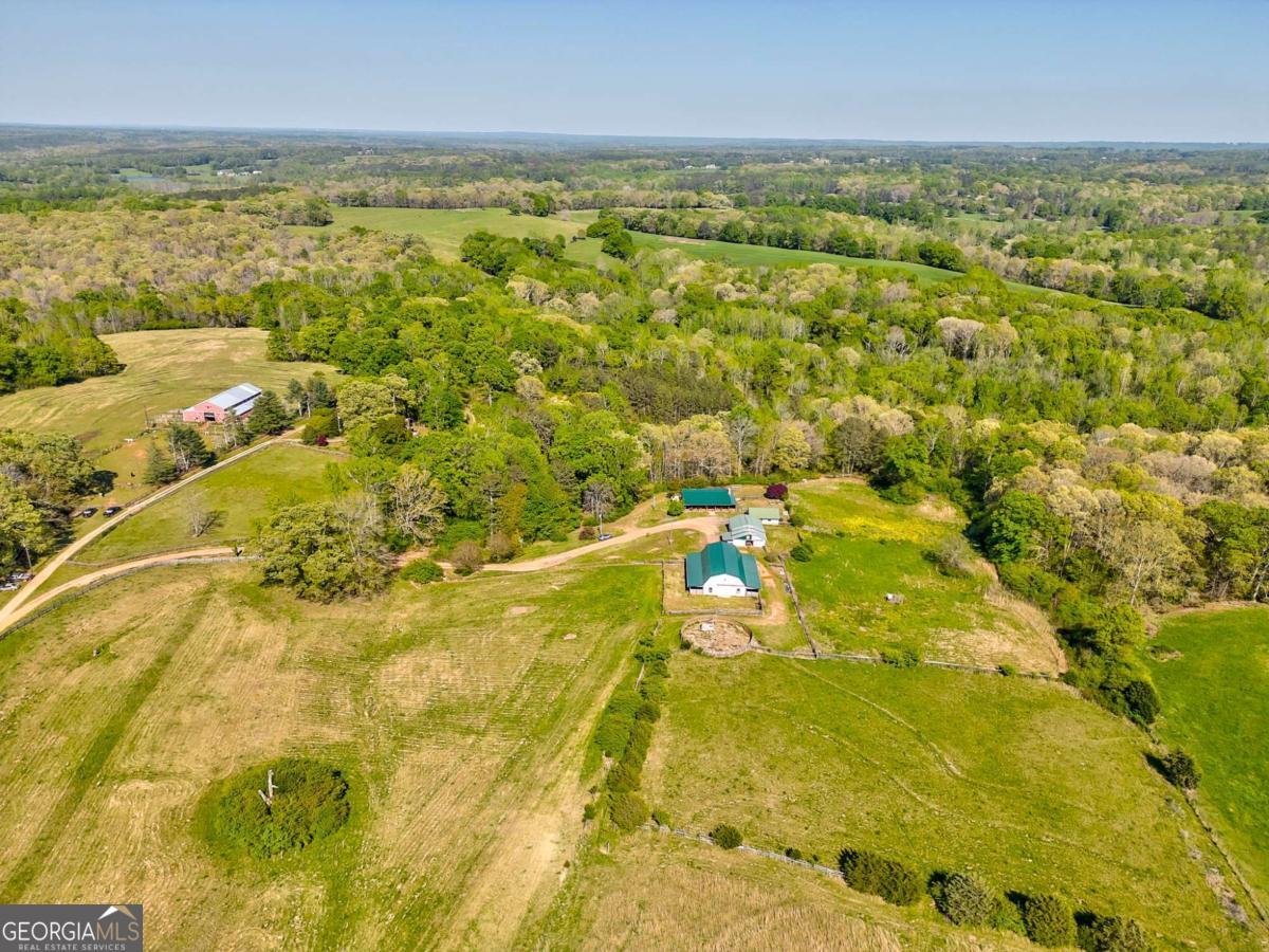 1288 Reavesville Road Bowdon - 12